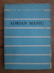 POEZII - ADRIAN MANIU foto