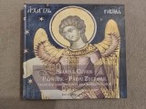 Cumpara ieftin 10+ Album Sf&acirc;ntul Cuvios Pafnutie - P&acirc;rvu Zugravul ~ Tradiție și modernitate &icirc;n arta br&acirc;ncovenească