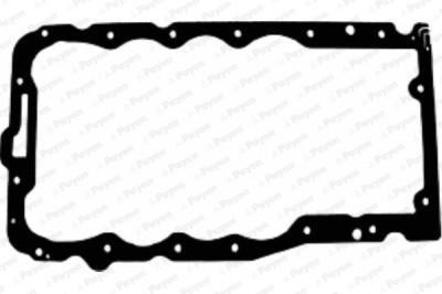 PAYEN JH5036 Garnitura baie ulei foto