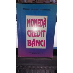 MONEDA CREDIT BANCI - CEZAR BASNO