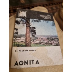 MIC INDREPTAR TURISTIC AGNITA - FLORINA GRECU