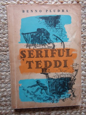 Seriful Teddi- Benno Pludra foto