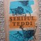 Seriful Teddi- Benno Pludra