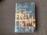Irene Vallejo - Infinitul intr-o trestie