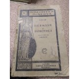 B. Biblioteca Minerva Herman și Dorothea