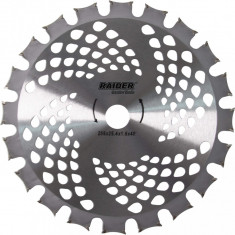 RAIDER Lama pentru motocoasa, dubla 40 TCT, 255x25.4 mm