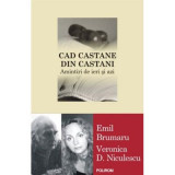 Cad castane din castani. Amintiri de ieri si de azi - Emil Brumaru, Veronica D. Niculescu