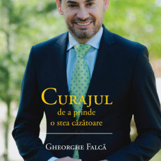 Curajul De A Prinde O Stea Cazatoare, Gheorghe Falca - Editura Curtea Veche