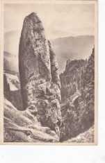 AMS - ILUSTRATA 1289, STINCI PE CEAHLAU, ANUL 1957, cu perforari