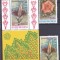 DB1 Indonezia 1989 Flora Flori 2 v. + SS MNH
