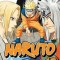 Naruto, Volume 19