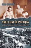 AS - ION GIURCĂ - TREI LUNI &Icirc;N POCUȚIA, ACȚIUNI ALE DIVIZIEI 8 INFANTERIE, 23 MAI- 24 AUGUST 1919 (CU PUȚINE SUBLINIERI)