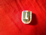 Insigna Romania FRG - Federatia Romana de Gimnastica, metal si email ,h=1,8 cm