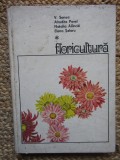 FLORICULTURA de V.SONEA , AFRODITA PAVEL