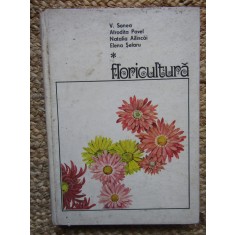 FLORICULTURA de V.SONEA , AFRODITA PAVEL