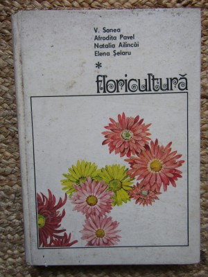 FLORICULTURA de V.SONEA , AFRODITA PAVEL foto