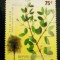 ARGENTINA 2001 flori, plante serie 1v neștampilate