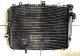 Kawasaki ZX9R ZX-9R 1998-2003 Radiator apa