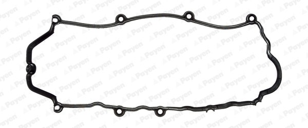 PAYEN JM7116 Garnitura, capac supape