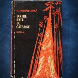 Cumpara ieftin DINTRE SUTE DE CATARGE - HARALAMB ZINCA