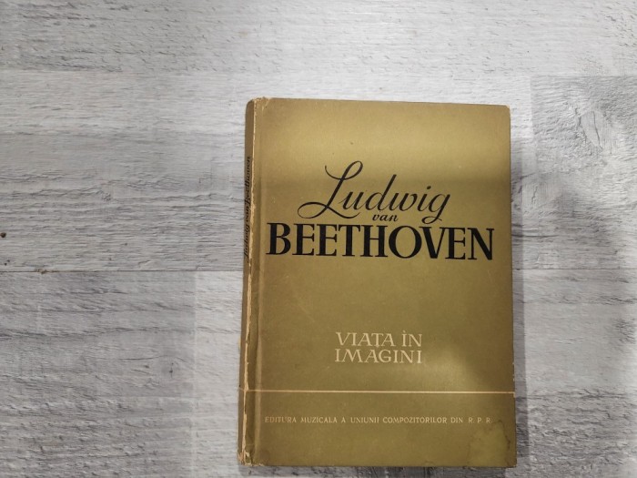 Ludwig van Beethoven. Viata in imagini