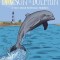 Dawson the Dolphin
