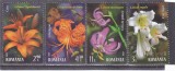 ROMANIA 2023 - CRINI, MNH - LP 2415, Flora, Nestampilat