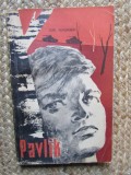 PAVLIK - IURI NAGHIBIN