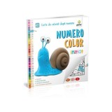 NumeroColor Inițiat. Carte de colorat după numere - Paperback brosat - *** - Gama