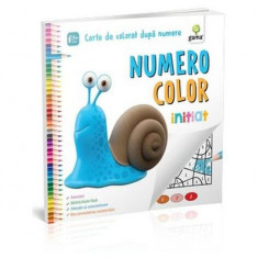 NumeroColor Inițiat. Carte de colorat după numere - Paperback brosat - *** - Gama