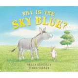 Cumpara ieftin Why is the Sky Blue?