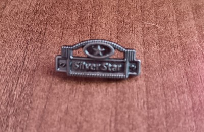 M3 L 38 - Insigna - tematica simbolistica - Silver star foto