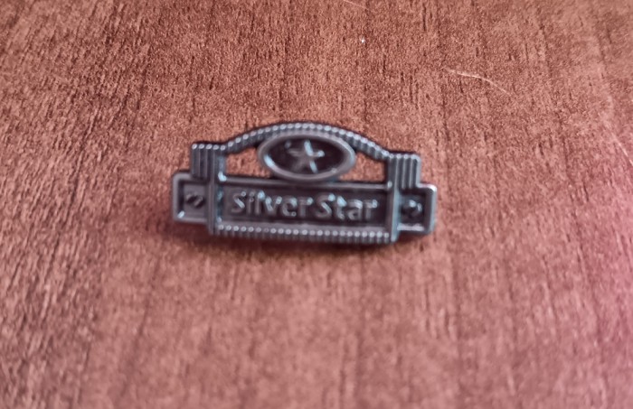 QW9 L 38 - Insigna - tematica simbolistica - Silver star