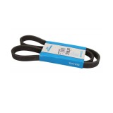 Curea transmisie cu caneluri Fiat Bravo 1995-2001 182 6DPK1225