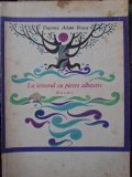 LA IZVORUL CU PIETRE ALBASTRE. BASME. ILUSTRATII VAL MUNTEANU-EUGENIA ADAM ROSCA-206804