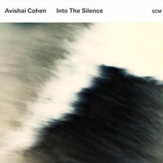 Into The Silence | Avishai Cohen