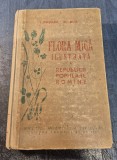 Flora mica ilustrata a RPR I. Prodan Al. Buia