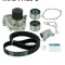 SKF VKMC 94920-1 Set pompa apa + curea dintata