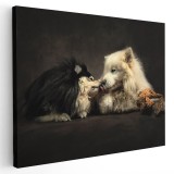 Tablou doi catei pupandu-se Tablou canvas pe panza CU RAMA 30x40 cm