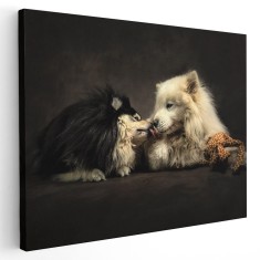 Tablou doi catei pupandu-se Tablou canvas pe panza CU RAMA 20x30 cm