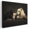 Tablou doi catei pupandu-se Tablou canvas pe panza CU RAMA 60x90 cm