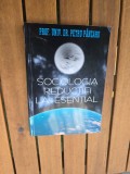 Sociologia reductiei la esential - Prof. Univ. Dr. Petru P&acirc;nzaru