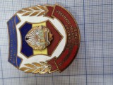 insigna Garzi patriotice 1