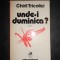 CHIRIL TRICOLICI - UNDE-I DUMINICA ?