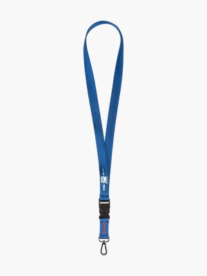 Visa Cash App RB breloc pentru g&amp;acirc;t Hogo blue F1 Team 2024 - Univerz&amp;aacute;ln&amp;iacute; foto