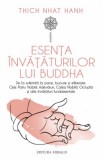 Esenta invataturilor lui Buddha - Thich Nhat Hanh - Herald