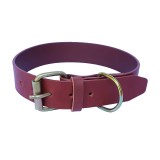 Zgarda Caini Piele Naturala Maro XL 70cm Ajustabila 49-60cm Premium, Rezistenta, Confortabila