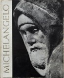 Carte Biografie Michelangelo Buonarroti Noua sau Anticariat Stare Buna Arta Stare Buna