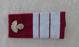 C2 33 - Grade militare - plutonier major infanterie - piesa de colectie!
