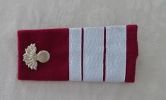 C2 33 - Grade militare - plutonier major infanterie - piesa de colectie!